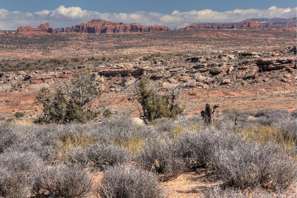Under Canvas Moab Dış mekan fotoğraf